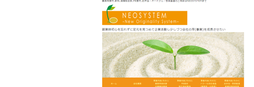 NEO SYSTEMTOPキャプチャ